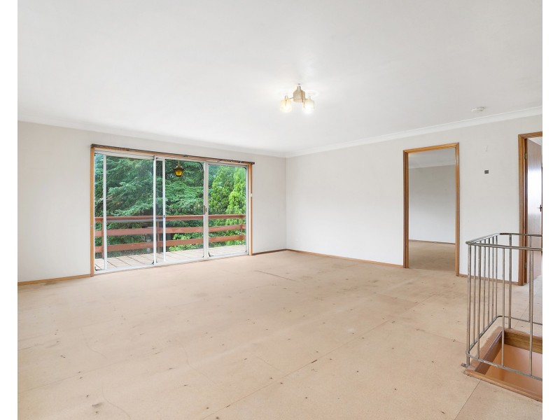 7 Challis Avenue, Dulwich Hill NSW 2203