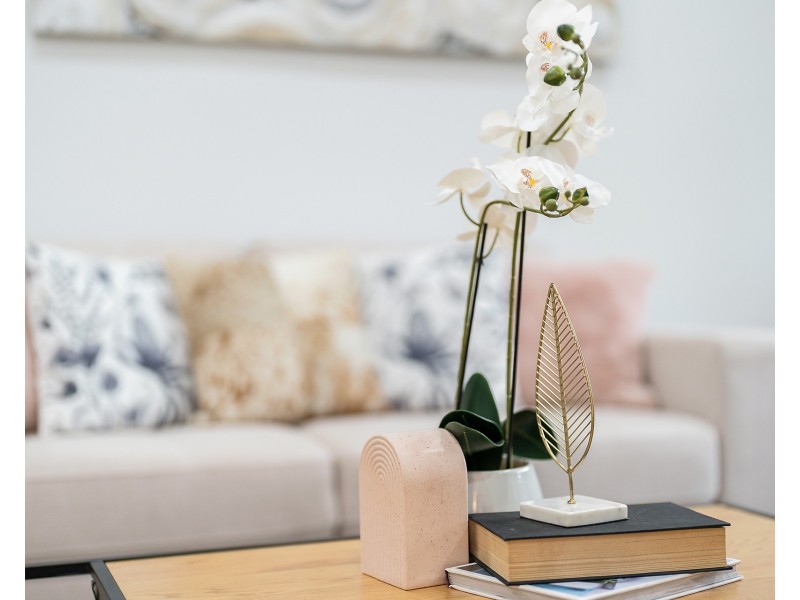 42 Day Street, Marrickville NSW 2204