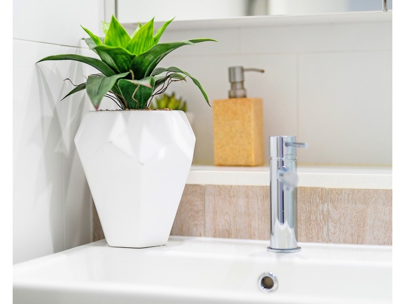 106/429 New Canterbury Road, Dulwich Hill NSW 2203