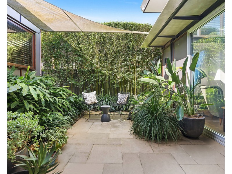 5 Gelding Street, Dulwich Hill NSW 2203