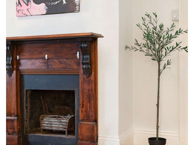 44 Holmesdale Street, Marrickville NSW 2204