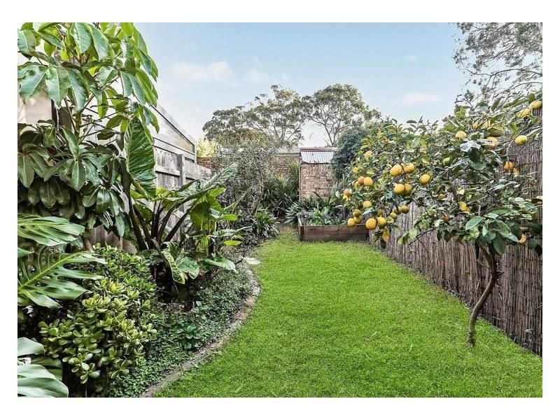117 Darley Street, Newtown NSW 2042
