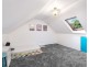 232 Bridge Road, Forest Lodge NSW 2037