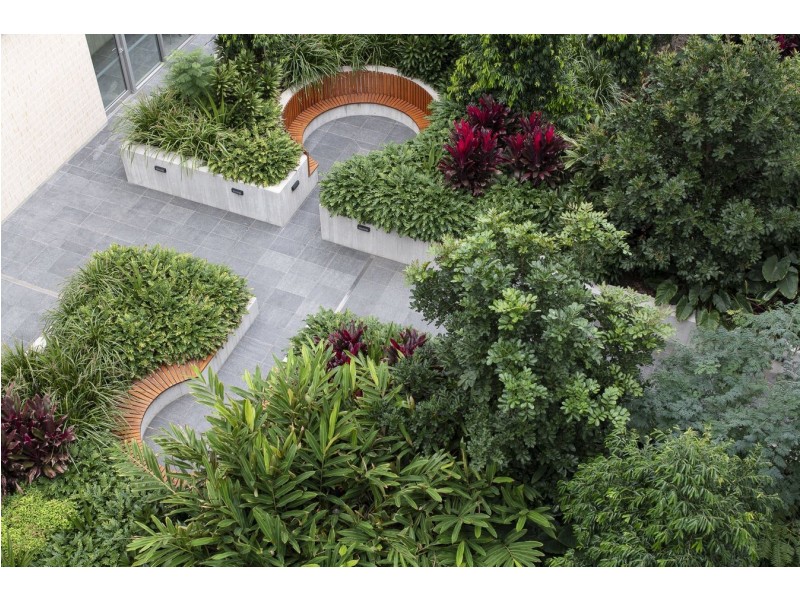 222/801 New Canterbury Road, Dulwich Hill NSW 2203