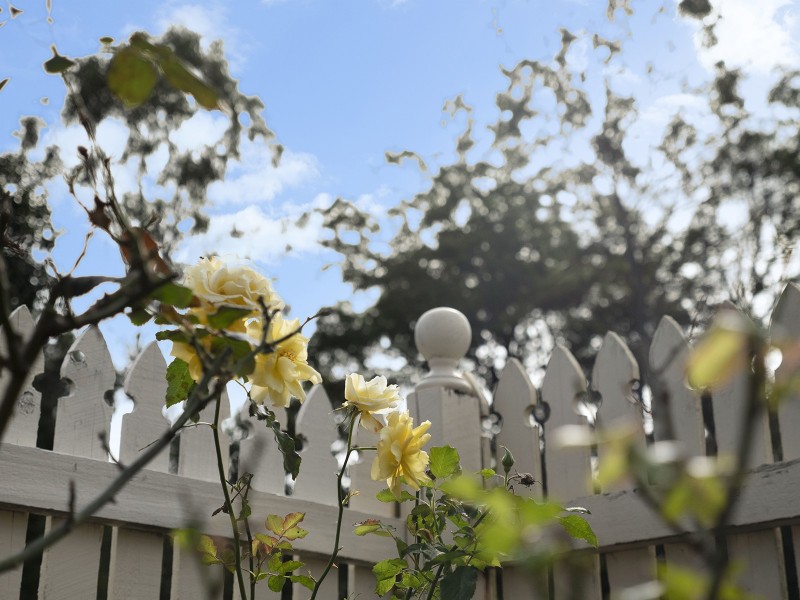 25 Simmons Street, Caboolture QLD 4510