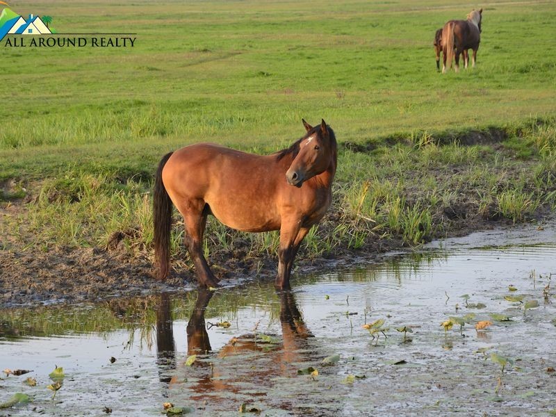 293 Nukku North Road, Blackbutt QLD 4306