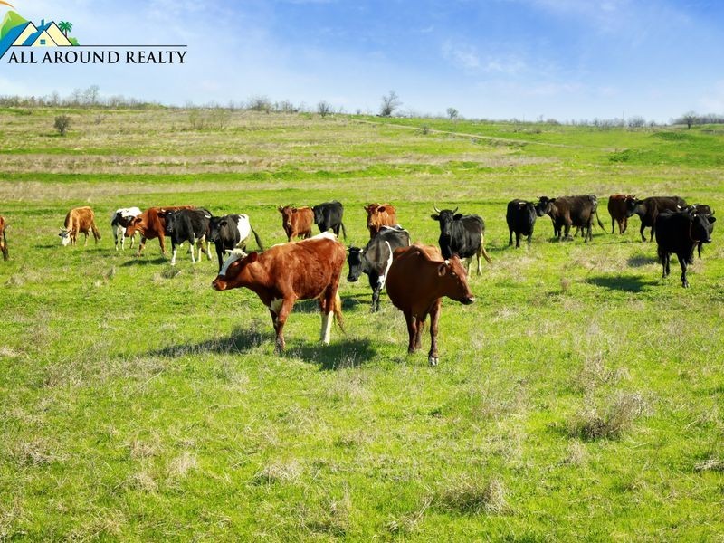 293 Nukku North Road, Blackbutt QLD 4306