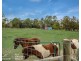 14-16 Lorikeet Ct, Upper Caboolture QLD 4510