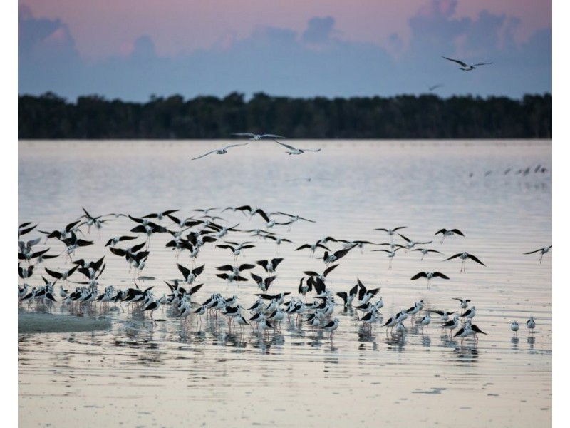 23 Delisser Ave, Toorbul QLD 4510