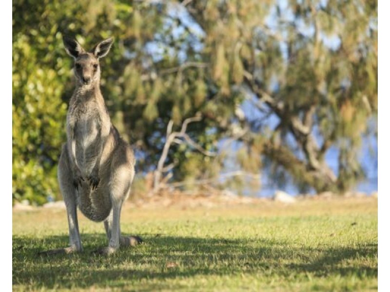 23 Delisser Ave, Toorbul QLD 4510