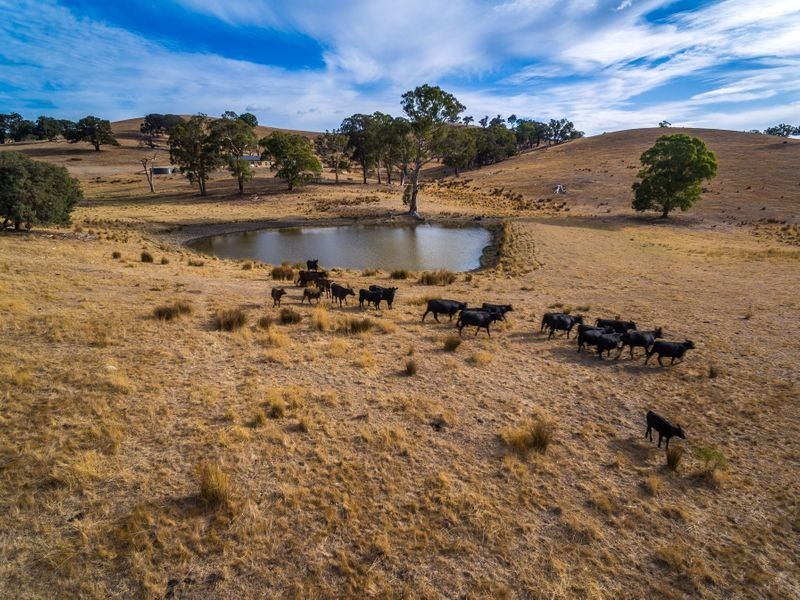 95 Goldfield Close, Reedy Creek VIC 3658