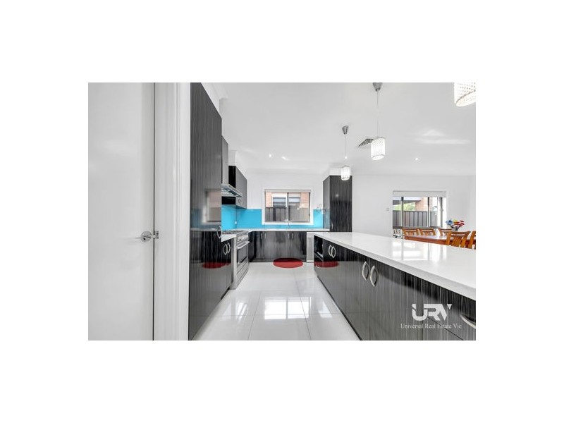 24 Evergreen Crescent, Craigieburn VIC 3064