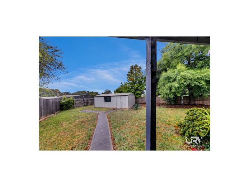 19 Wedding Drive, Wallan VIC 3756