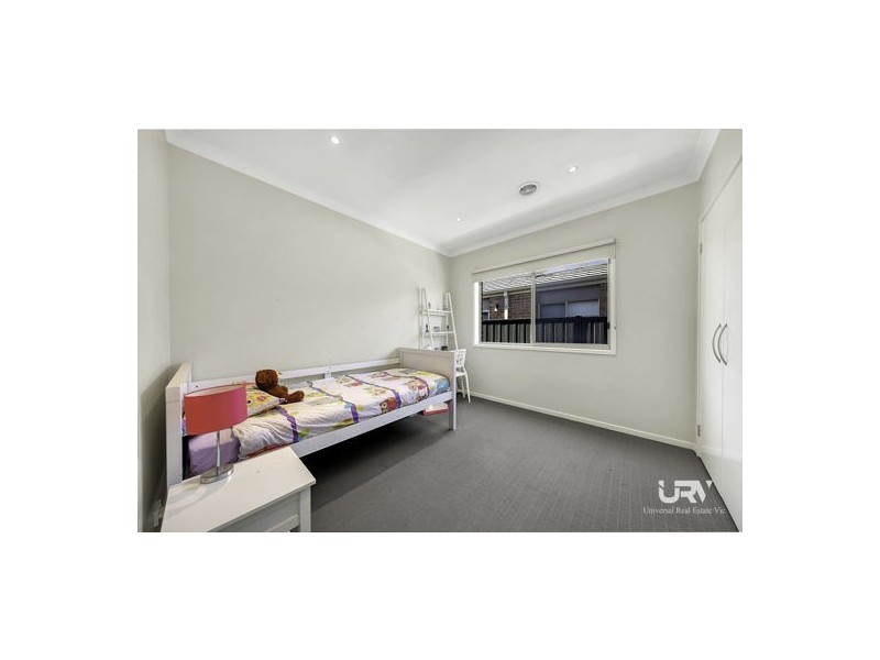 16 Bottlebrush Road, Craigieburn VIC 3064