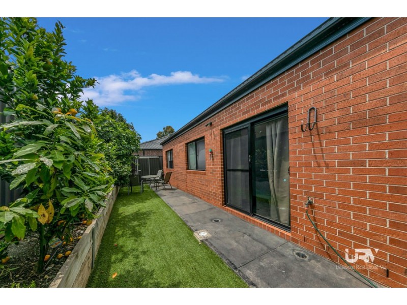 10 Spirited Cct, Craigieburn VIC 3064