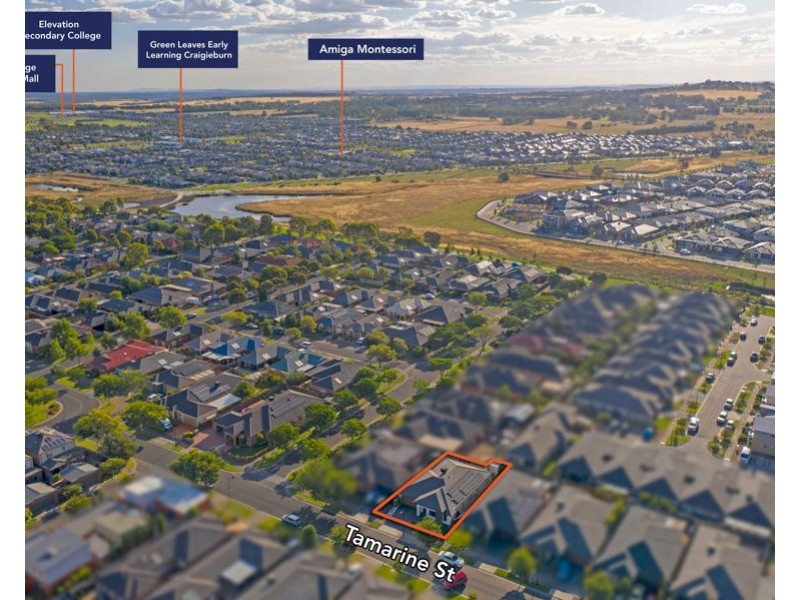 7 Tamarin Street, Craigieburn VIC 3064