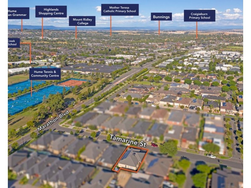 7 Tamarin Street, Craigieburn VIC 3064