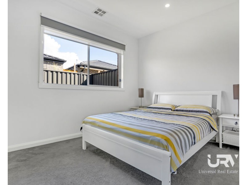 17 Schefflera Street, Craigieburn VIC 3064
