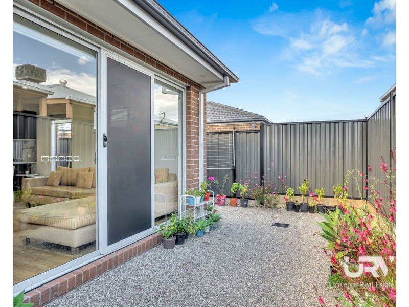 17 Schefflera Street, Craigieburn VIC 3064
