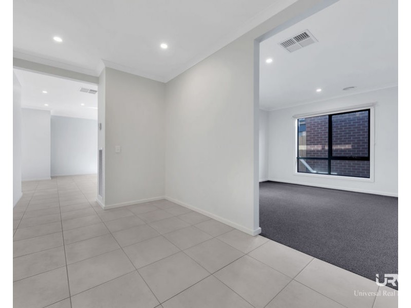 18 Pinaster Street, Wallan VIC 3756