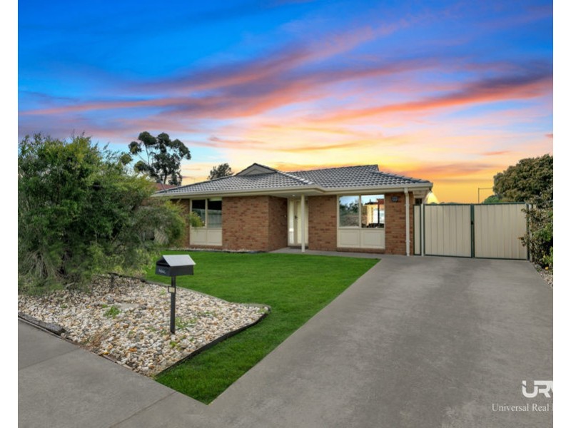 51 Northleigh Avenue, Craigieburn VIC 3064