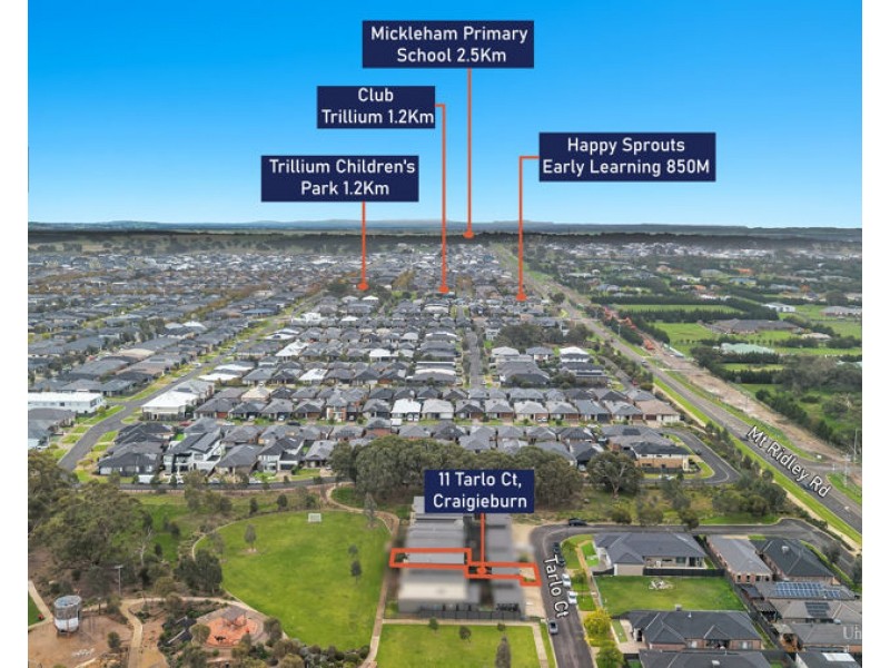 11 Tarlo Court, Craigieburn VIC 3064