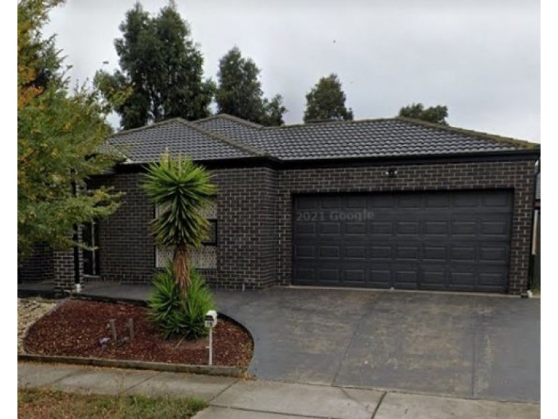 19 Watergum Avenue, Craigieburn VIC 3064