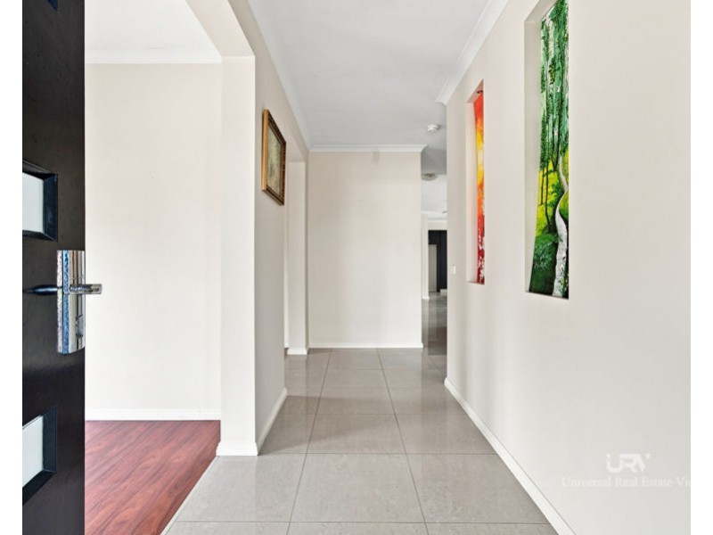19 Watergum Avenue, Craigieburn VIC 3064