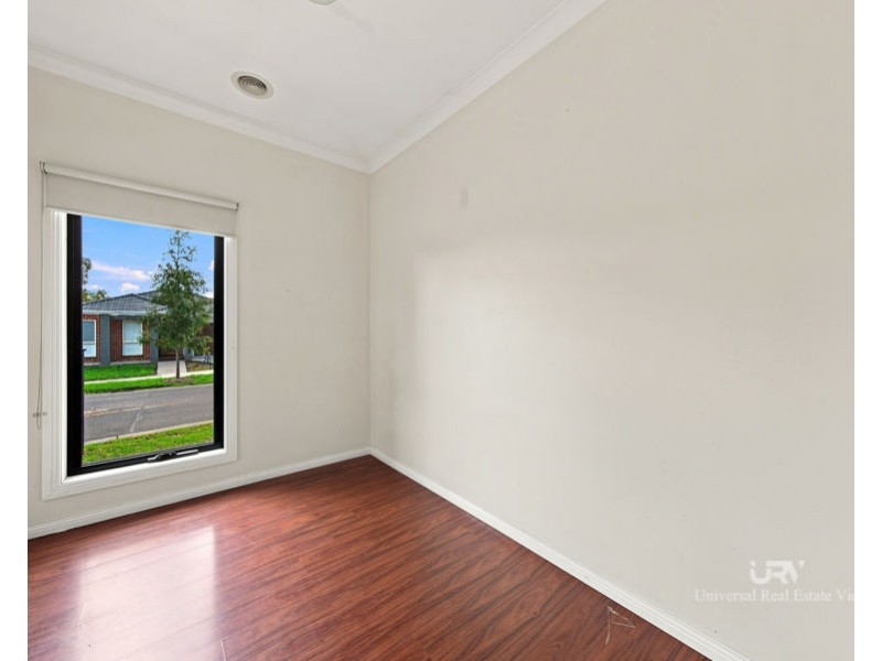 19 Watergum Avenue, Craigieburn VIC 3064