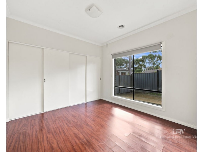 19 Watergum Avenue, Craigieburn VIC 3064