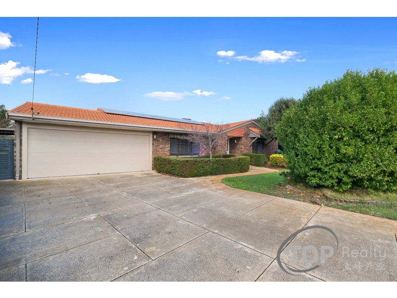17 Silky Oak Lane, Willetton WA 6155