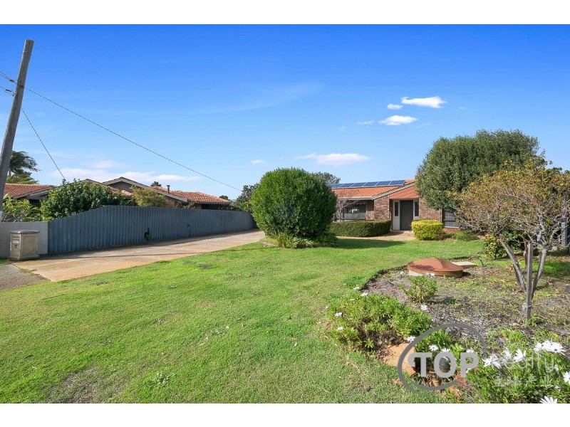 17 Silky Oak Lane, Willetton WA 6155