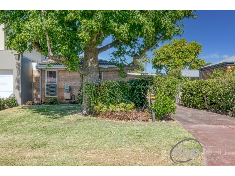 10A Throsby Street, Shelley WA 6148