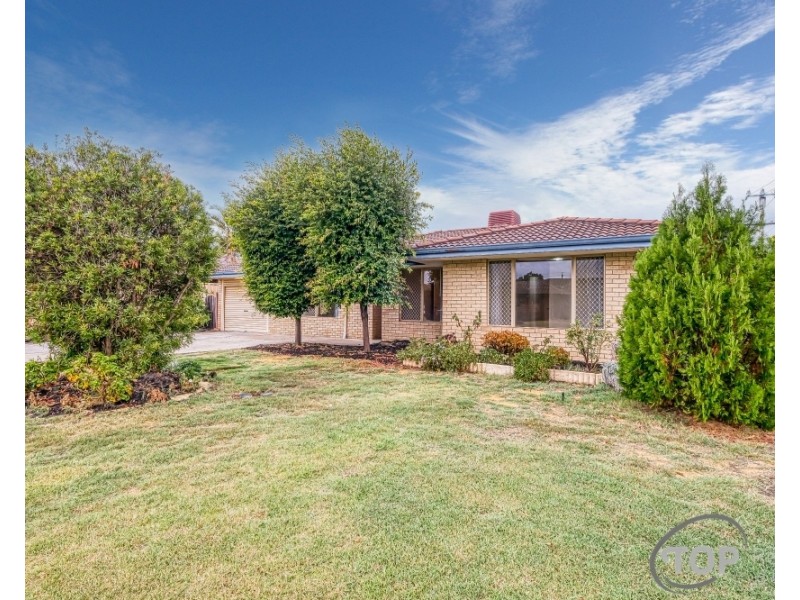 1 Stormont Place, Willetton WA 6155