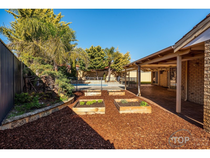 35 Cameron Court, Willetton WA 6155