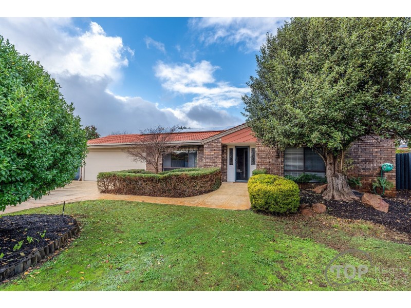 17 Silky Oak Lane, Willetton WA 6155