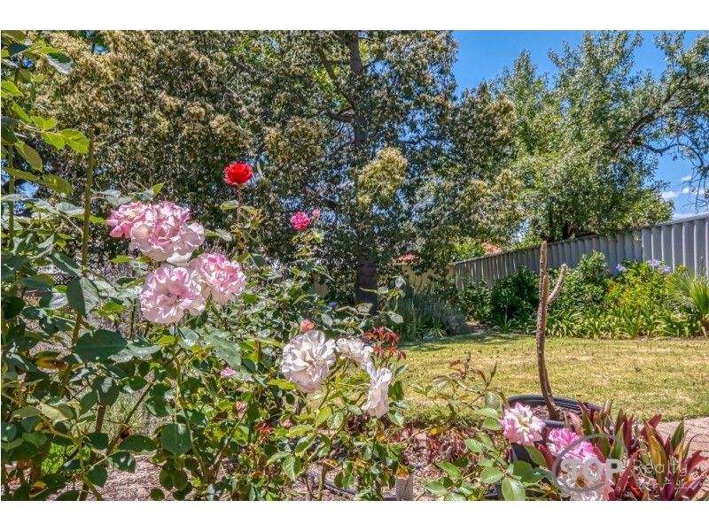 13 Cohn Court, Willagee WA 6156