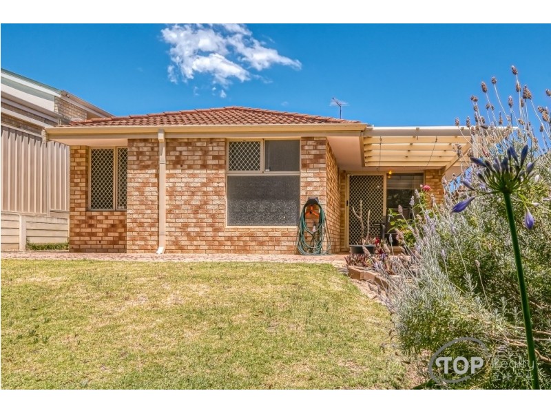 13 Cohn Court, Willagee WA 6156