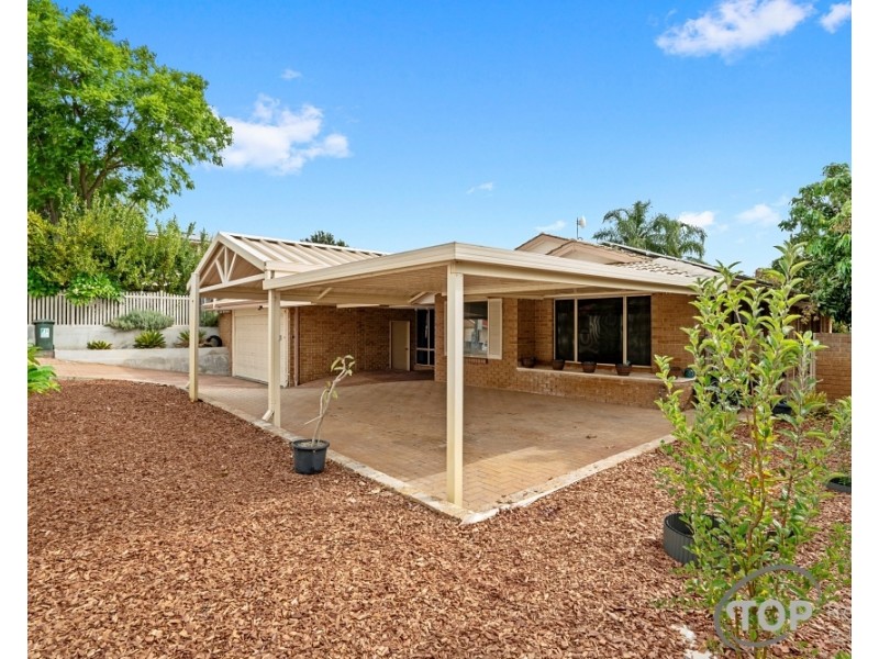 62 Rostrata Avenue, Willetton WA 6155