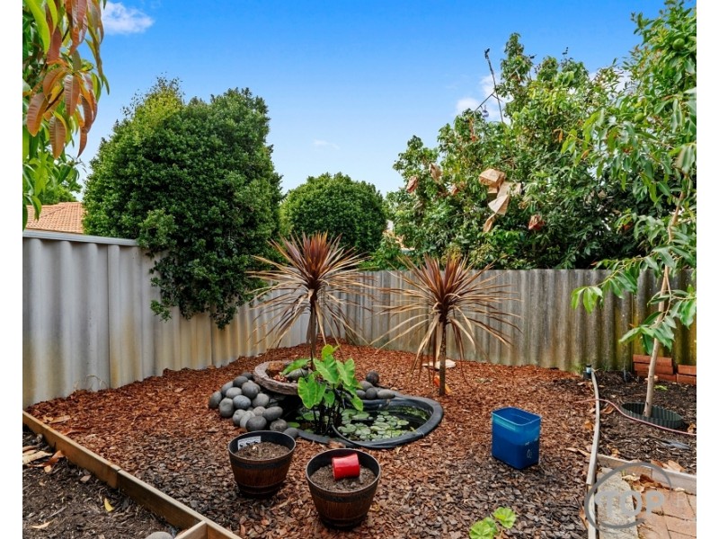 62 Rostrata Avenue, Willetton WA 6155