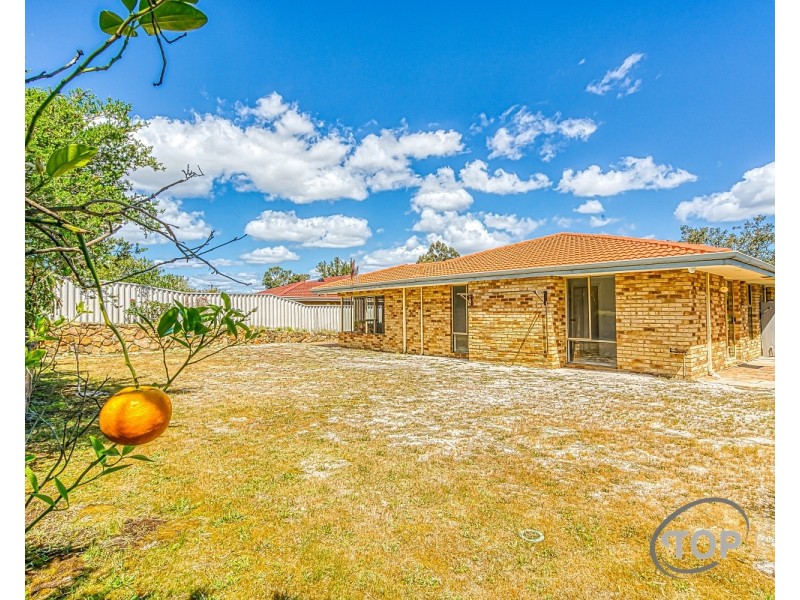 11 Glenmoy Avenue, Willetton WA 6155