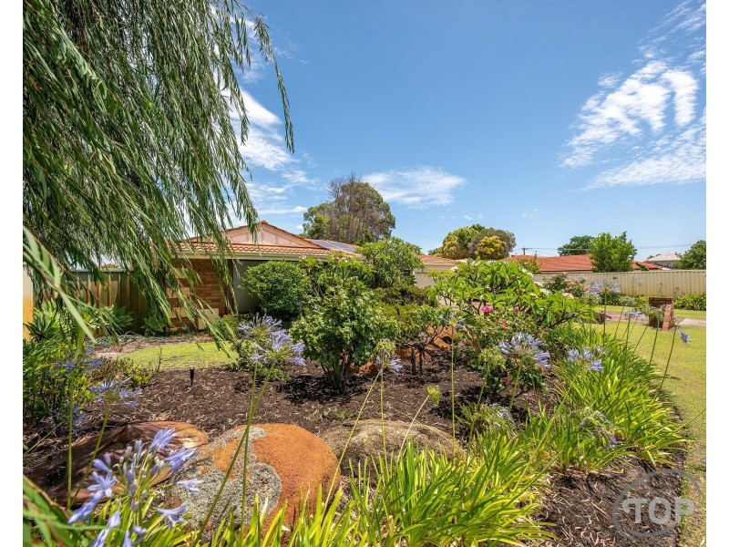 7 Stevenson Way, Willetton WA 6155
