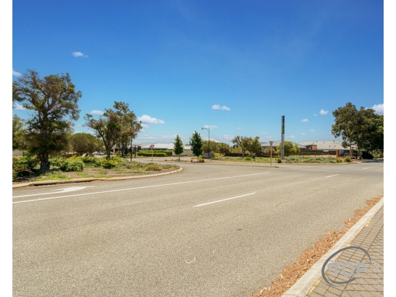 87 Lucerne Circuit, Champion Lakes WA 6111