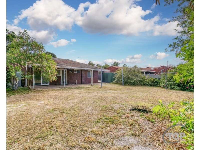 38 Salmon Gum Rise, Willetton WA 6155