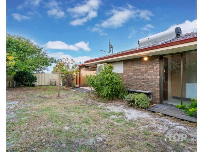 24 Damepattie Drive, Willetton WA 6155