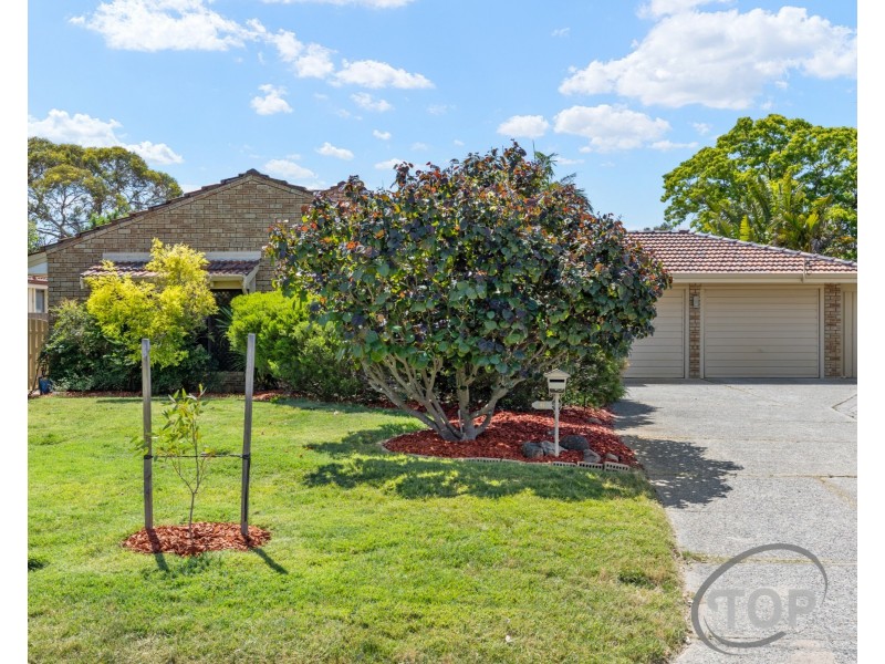 6 Carnac Close, Riverton WA 6148