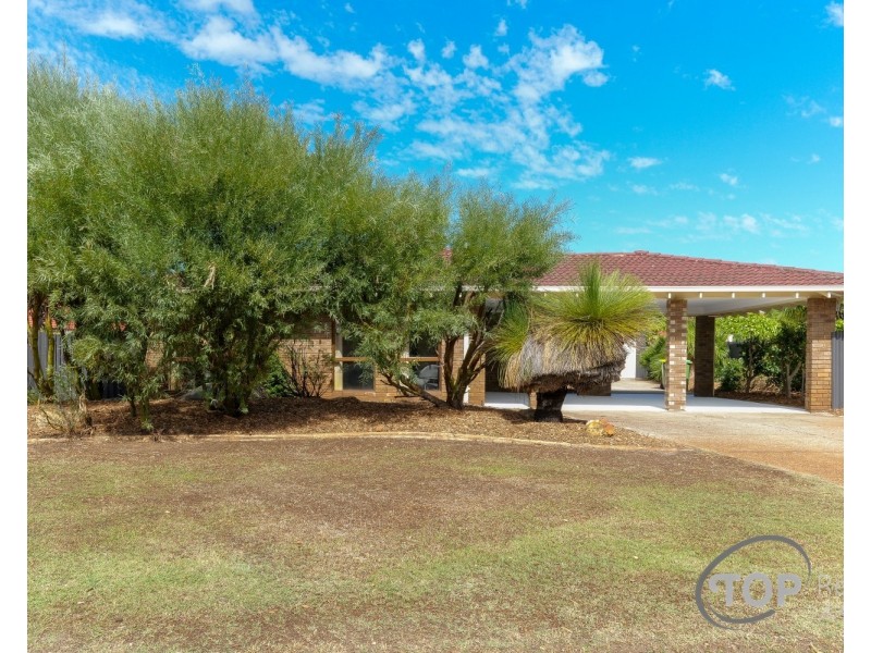 39 Oberthur Crescent, Bull Creek WA 6149