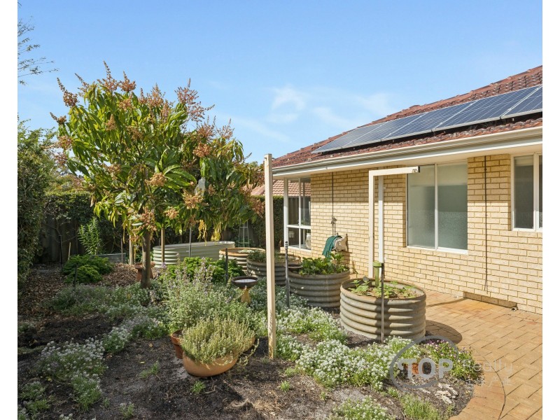 19 Debries Place, Bull Creek WA 6149