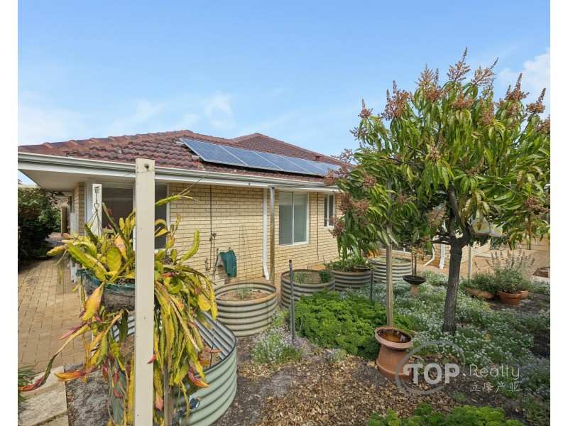 19 Debries Place, Bull Creek WA 6149