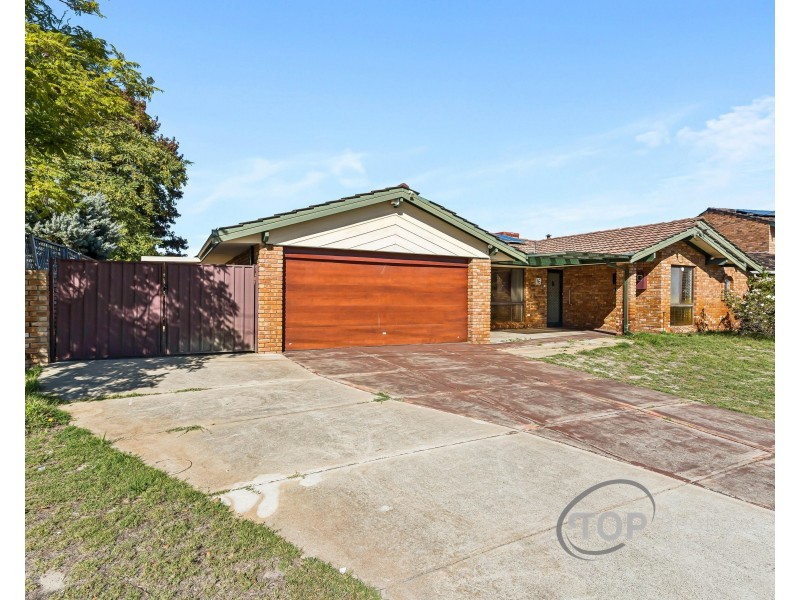 16 Cobalt Place, Riverton WA 6148